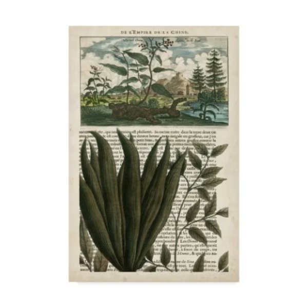 Vision Studio 'Journal Of The Tropics Iii' Canvas Art, 12x19, Trademark Fine Art, Mfr#: WAG05344-C1219GG
